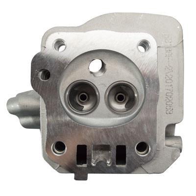 Chinese_Cylinder_Head_Assembly_for_Coleman_CT200U_Mini_Bike_12210_168FB_1.jpg