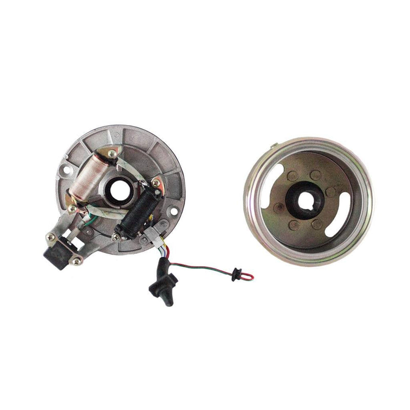 Load image into Gallery viewer, Chinese_Stator_Magneto_Flywheel_Assy_-_2_Coil_-_110cc_b.jpg
