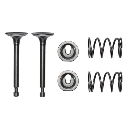 Chinese_Valve_Set_-_Intake_and_Exhaust_-_196cc_6.5hp_Coleman_CT200U_168F_14711_168F_14721_168F_14755_168F_14751_168F_14758_168F_196cc_6.5hp_168F_Engine_3.jpg