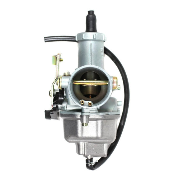 Chinese_Vertical_250cc_Carb_Cable_Choke_PZ30_V12.jpg